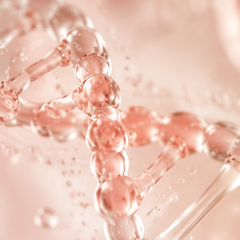 Pink salmon PDRN helix macro